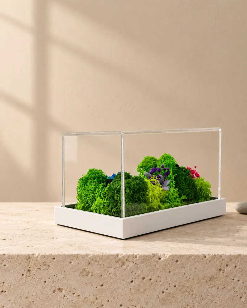 Forest Terrarium Landscape, 6" x 3", photographed on a stone plinth