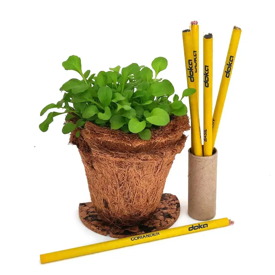 DOKA plantable pencils and stationery in brand yellow