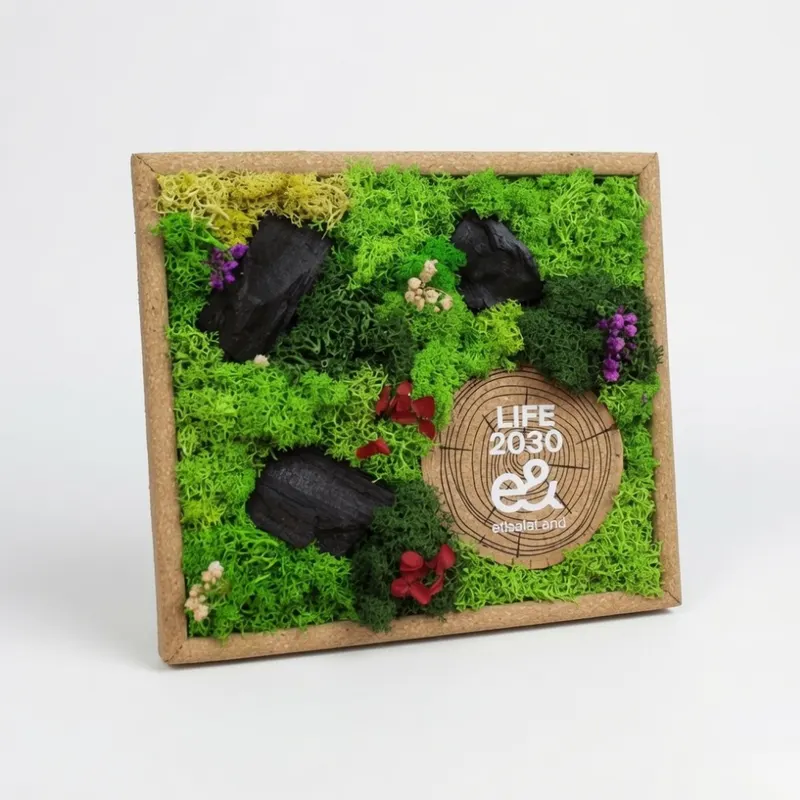 Preserved moss frame with LIFE 2030 branding for e& by bioQ