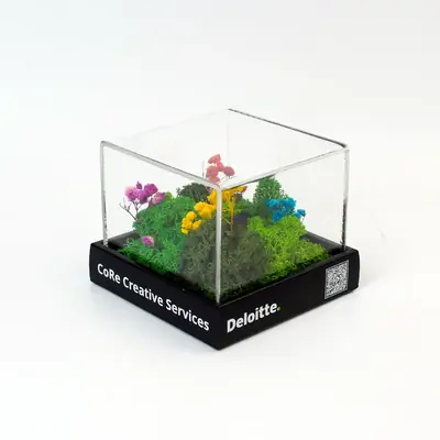 A cube terrarium of preserved plants and moss on a printed black base