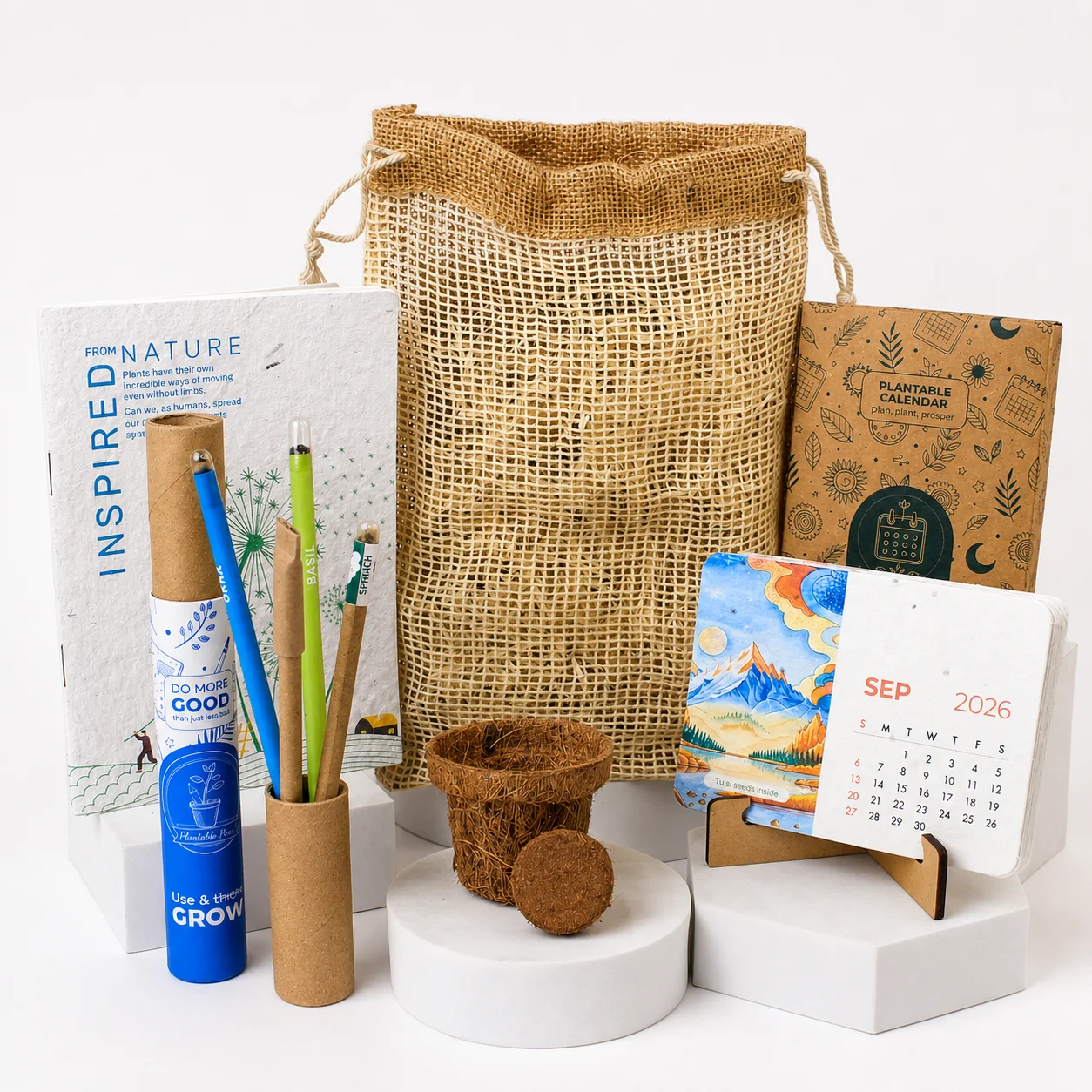bioQ plantable grow starter kit with seed-bearing paper tube, coir medium and grow accessories